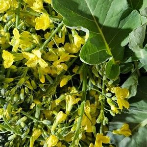 Meet your Posher, Posh